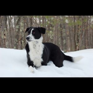 Meet your Posher, Sara